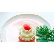 Wiiboox Sweetin - Imprimante 3D alimentaire pour aliments à formes complexes - Creadil_2