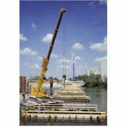 Ltr 1100 grue télescopique sur chenilles_2