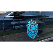 Impression numérique sur véhicule, personnalisable avec des motifs, logos et textes spécifiques_2