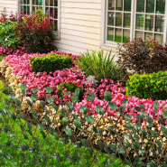 Vidaxl clôture en treillis de saule 5 pcs 180x90 cm 140913_2