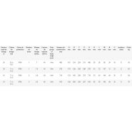 Palan électrique à chaîne Elephant type FAH - Rema Holland B.V. - Hauteur de levage 3 m - 400 V avec fin de course haut et bas_2