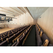 Tribune télescopique pour salle de spectacle_2