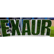 Lettres et/ou logo en polystyrène 3D et lichen scandinave - marron_2