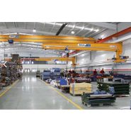 Palan ABUCompact GM4 avec une capacité de 630 kg à 1250 kg