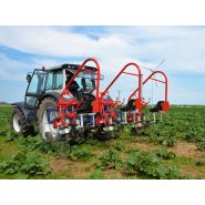 Bineuse sur le rang ZUZA 3 - 1, 2 ou 3 rangées - Éléments rotatifs pour cultures maraîchères et fruitières - JAGODA JPS Agromachines_2