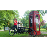 Biporteur électrique Shadow Shimano E-Bike Systems - Cadre aluminium, freins à disque, assistance électrique_2