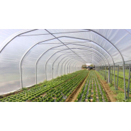 Serres tunnel à structure classique en acier galvanisé avec toiture anti-UV - Plusieurs dimensions disponibles_2