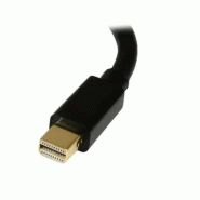 StarTech Adaptateur Mini DisplayPort vers DisplayPort - Vidéo_2