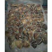 Lot de 100 sachets sous vide conservation - PA/PE transparents - SCO300400-110, SCO300500-110, SCO400600-110_2