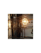 Four à convection professionnel - 4 niveaux électriques 450x340 - Inox - VENIX TORCELO_2