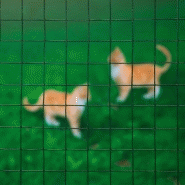 Nature treillis carré 1x2,5 m 25 mm acier enduit de plastique vert 442634_2