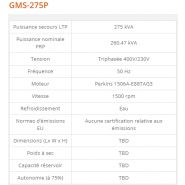 GMS-275P - Groupe électrogène industriel Generac 275 kVA - Série GMS Standard - Version ouverte et insonorisée_2