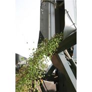 Recolteuse d'olives mavo - sas laupretre - vitesse d'avancement 4 km/h - rendement 16 t/h_3