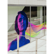 Imprimante UV grand format ROLAND LG-300_2