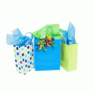 Papier de soie couleurs - 236302 – 50 x 75 cm - Vert empire_2