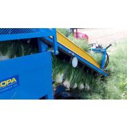Récolteuse de fenouil F 285 - Carpi Meccanica S.N.C - mono-rang, demi-portée, courroies et tri hydraulique_3
