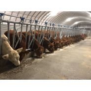 Tunnel d'élevage Abristhor sur solution béton (dalle, longrines, blocs, murs) pour un maximum de bien-être aux animaux et aux éleveurs_3