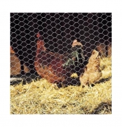 Grillage à poule TTG100 - triple torsion, mailles hexagonales, garantie 10 ans contre la rouille_2