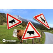 Panneau de danger A15a1 - Passage d'animaux domestiques (vache)_2