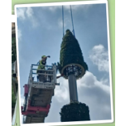 Pylônes arbres accès extérieur Kupressus - 12 à 24m - Tronc en résine marron - 6 antennes panneaux max_2