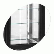 Armoire vitrée réfrigérée positive 248 L | Tefcold - UPD400-C_2