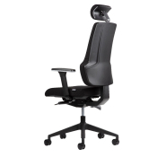 Chaise de bureau ergonomique et professionnelle - THECHAIR avec appui-tête réglable en option, soutien lombaire et accoudoirs 4D_2