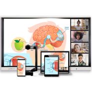 Écran interactif infrarouge SMART Board® MX Series - 55