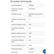 165304w - Armoire coupe-feu G90 pour bouteilles de gaz - 90 minutes de résistance au feu_2