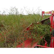 Récolteuse à baies JOANNA 4 - WEREMCZUK - puissance minimale 40 HP - productivité 0,15 à 0,25 ha/h - capacité 1150 kg_2
