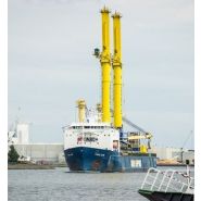 Grue Liebherr LHM 800 pour la manutention de produits industriels lourds