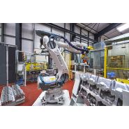 Cellule robotisée aluminium - SIIF - grande flexibilité jusqu’à 200 campagnes et cadence 20 à 100 pièces/heure_2