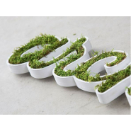 Lettres végétales durables et uniques - Signalétique personnalisée PANO Nice Ouest_2