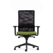Fauteuil ergonomique premium pour un confort inégalé_2