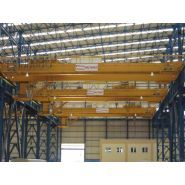 Grues avec ponts roulants double et unique poutres avec une capacité de charge de 1 à 63 tonnes - BVS_2