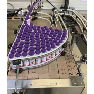 Accumulateur à recirculation par voies latérales en fonctionnement à sens opposés évitant la saturation en sortie_2