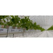 Serre chapelle - richel group - de 6.40 à 16 m_2