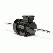 Applications non standards - Moteurs CA sur mesure Lafert - Adaptables et personnalisables pour milieux spécifiques_2