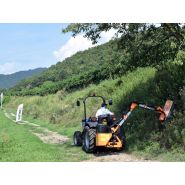 Airone-80 broyeur d'accôtement - deleks - largeur de travail 800 mm_2