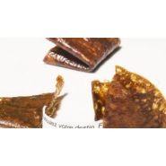 Tunnel infrarouge CSI pour biscuits Fortune - ramollissement et pliage à 100°C_2