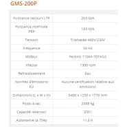 GMS-200P - Groupe électrogène industriel diesel 203 kVA - Generac - Série GMS Standard_2