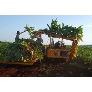 Récolteuse de tabac rmtd - kirpy - largeur de travail 3.85 m_2