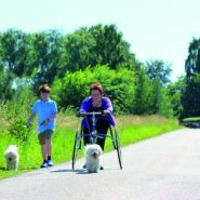 Tricycle PETRA conçu pour troubles d'équilibre ou coordination