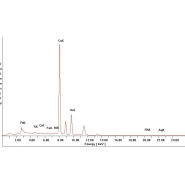 Prestation d'analyse - Mesures par microfluorescence X - Taille de spot 20 à 300µm et quantification des éléments métalliques_2