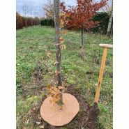 50 disques de paillage en coco - 60 cm - protection des arbres - 100% biodégradable_2
