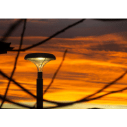 Luminaire Citizen Comfort ILCZ2 - Haute efficacité jusqu'à 142 lm/W - Design exclusif pour espaces urbains_2