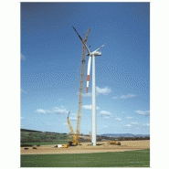 Lr 1400/2 grue sur chenilles_2