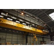 Appareil de levage bipoutre adapté pour grandes portées et charges