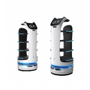 Robot serveur conçu pour éviter les obstacles