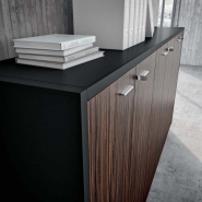 Meuble  armoire bas fonctionnel, personnalisable  selon votre style et votre espace de travail_2