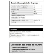 AL 1500-E Groupe électrogène - Inmesol - Puissance de secours 16 kVA - Châssis tubulaire pratique_2